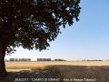 111_Campo di Grano-2-800